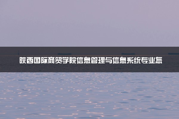 陕西国际商贸学院信息管理与信息系统专业怎么样 录取分数线多少