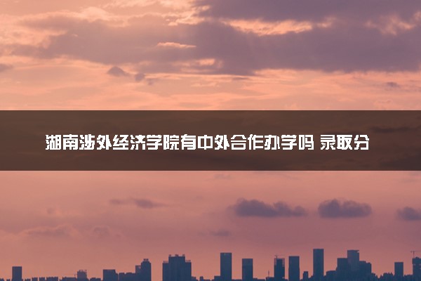 湖南涉外经济学院有中外合作办学吗 录取分数线是多少