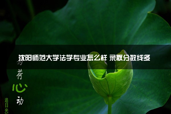 沈阳师范大学法学专业怎么样 录取分数线多少