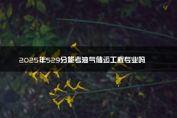 2025年529分能考油气储运工程专业吗 529分油气储运工程专业大学推荐