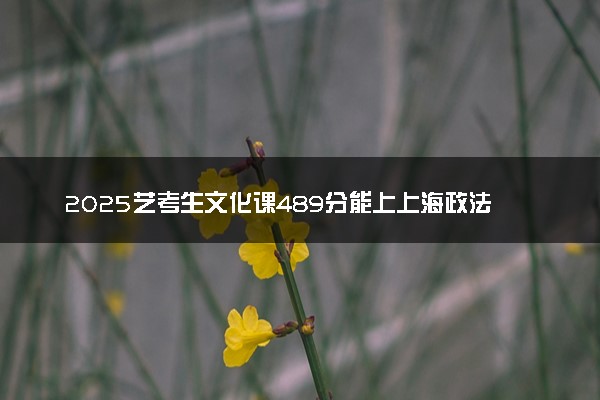 2025艺考生文化课489分能上上海政法学院吗