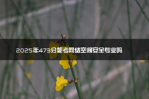 2025年473分能考网络空间安全专业吗 473分网络空间安全专业大学推荐