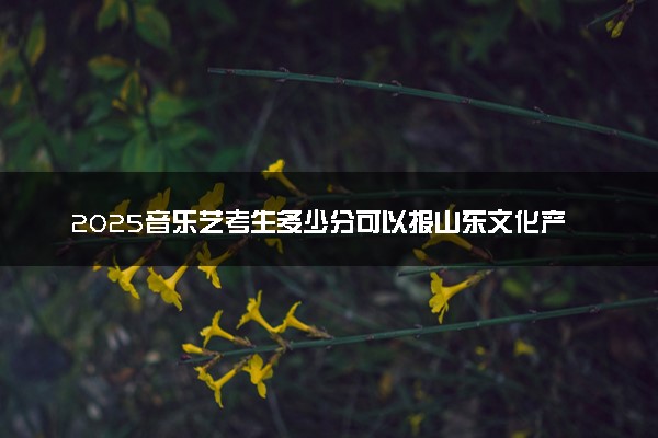 2025音乐艺考生多少分可以报山东文化产业职业学院