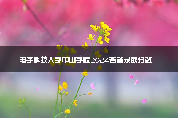 电子科技大学中山学院2024各省录取分数线及最低位次是多少