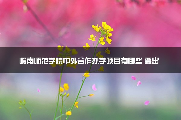 岭南师范学院中外合作办学项目有哪些 要出国吗