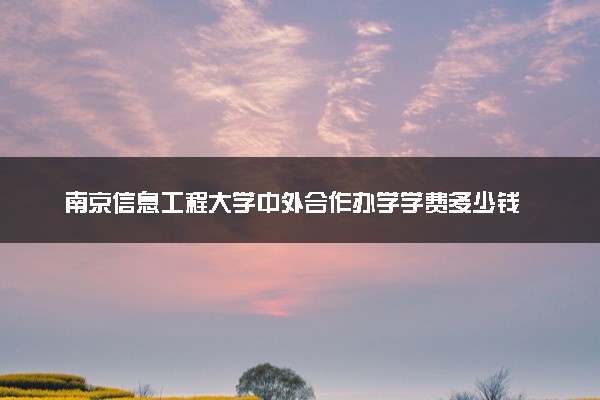 南京信息工程大学中外合作办学学费多少钱 各专业收费标准