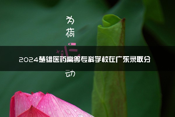 2024楚雄医药高等专科学校在广东录取分数线 各专业分数及位次