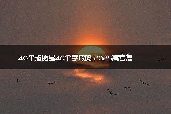 40个志愿是40个学校吗 2025高考怎么报考