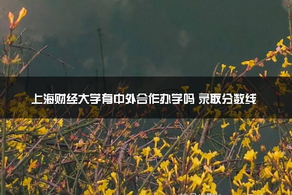 上海财经大学有中外合作办学吗 录取分数线是多少