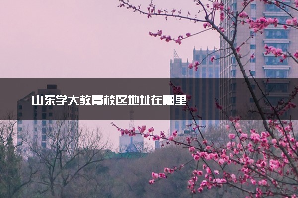 山东学大教育校区地址在哪里