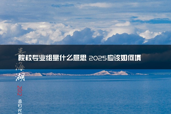 院校专业组是什么意思 2025应该如何填报