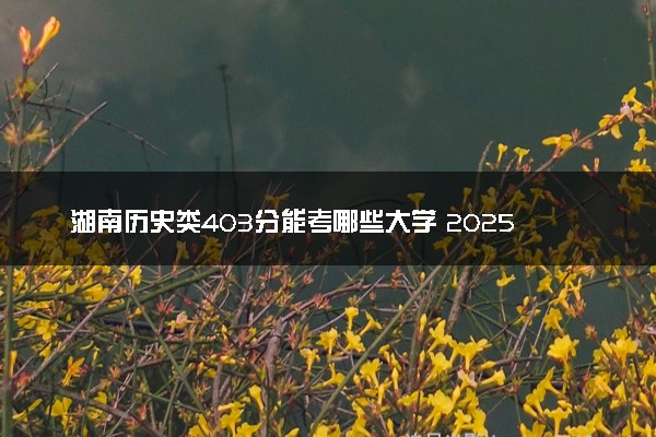 湖南历史类403分能考哪些大学 2025考生稳上的大学名单