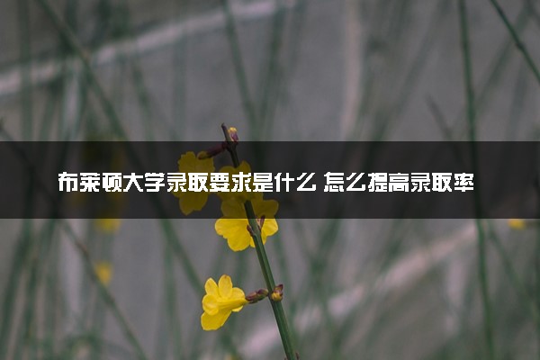 布莱顿大学录取要求是什么 怎么提高录取率