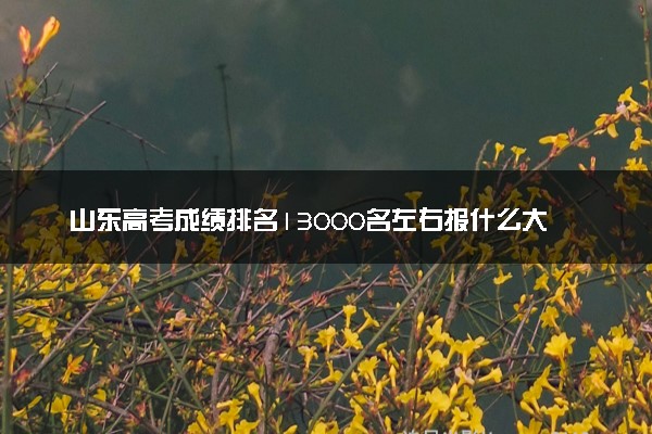 山东高考成绩排名13000名左右报什么大学好（2025年参考）