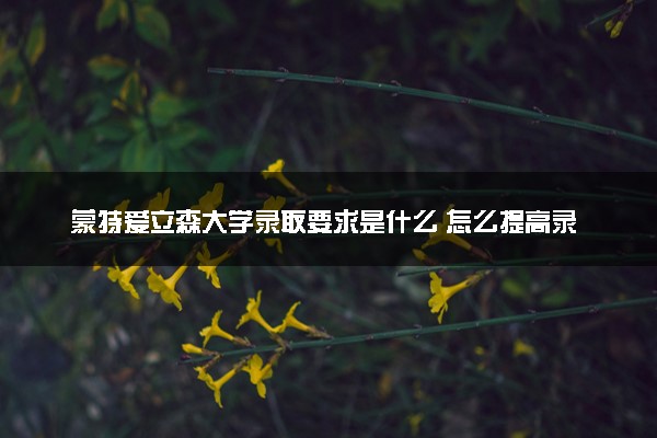 蒙特爱立森大学录取要求是什么 怎么提高录取率